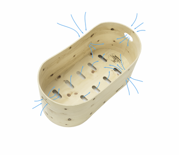 The ventilation system
