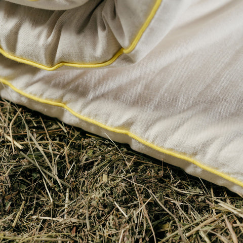 WiesenTopper® - wild herb meadow topper 1