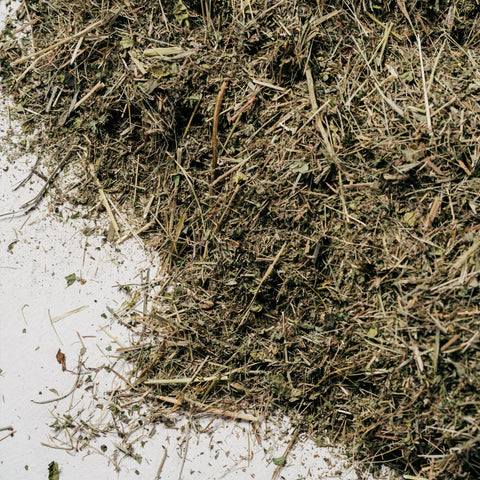 WiesenTopper® - wild herb meadow topper 6